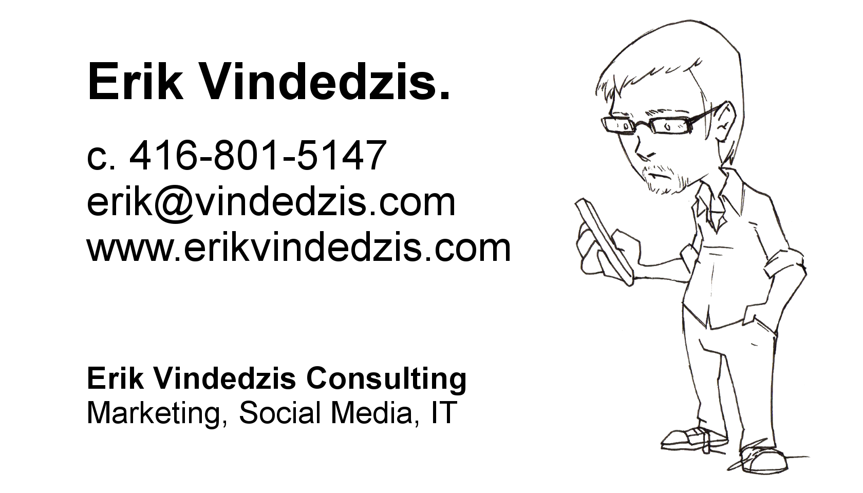 Erik Vindedzis Consulting